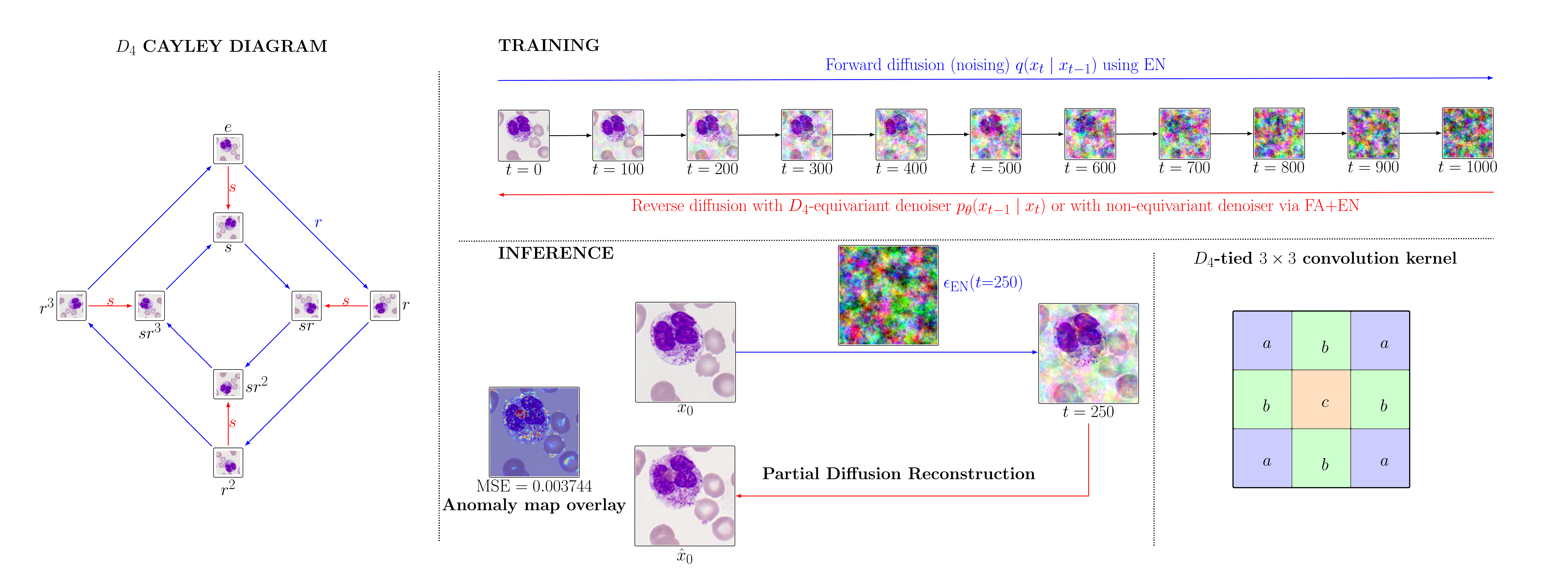 Overview of the D4-equivariant diffusion framework